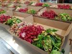 saladboxes