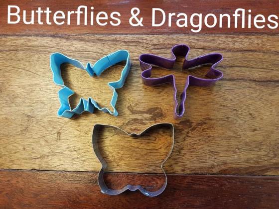 ButterfliesAndDragons