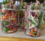 ShreddedVegSaladJars