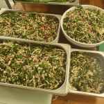 IMG_20211224_174439_104