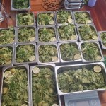 IMG_20220302_081240_422